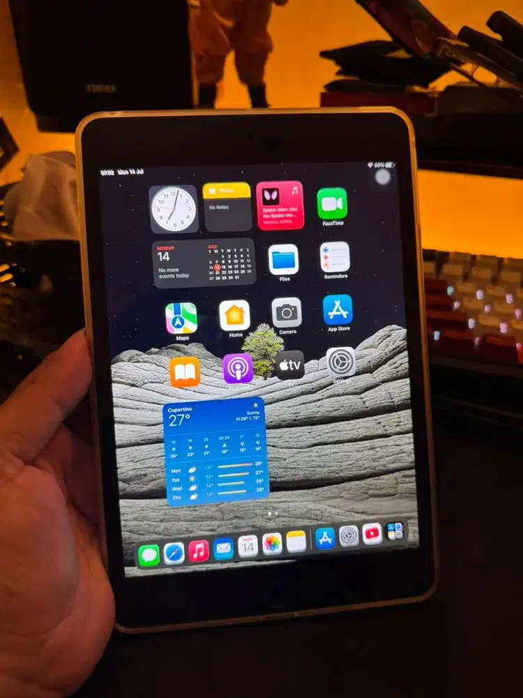 Ipad mini 4 128gb pribadi