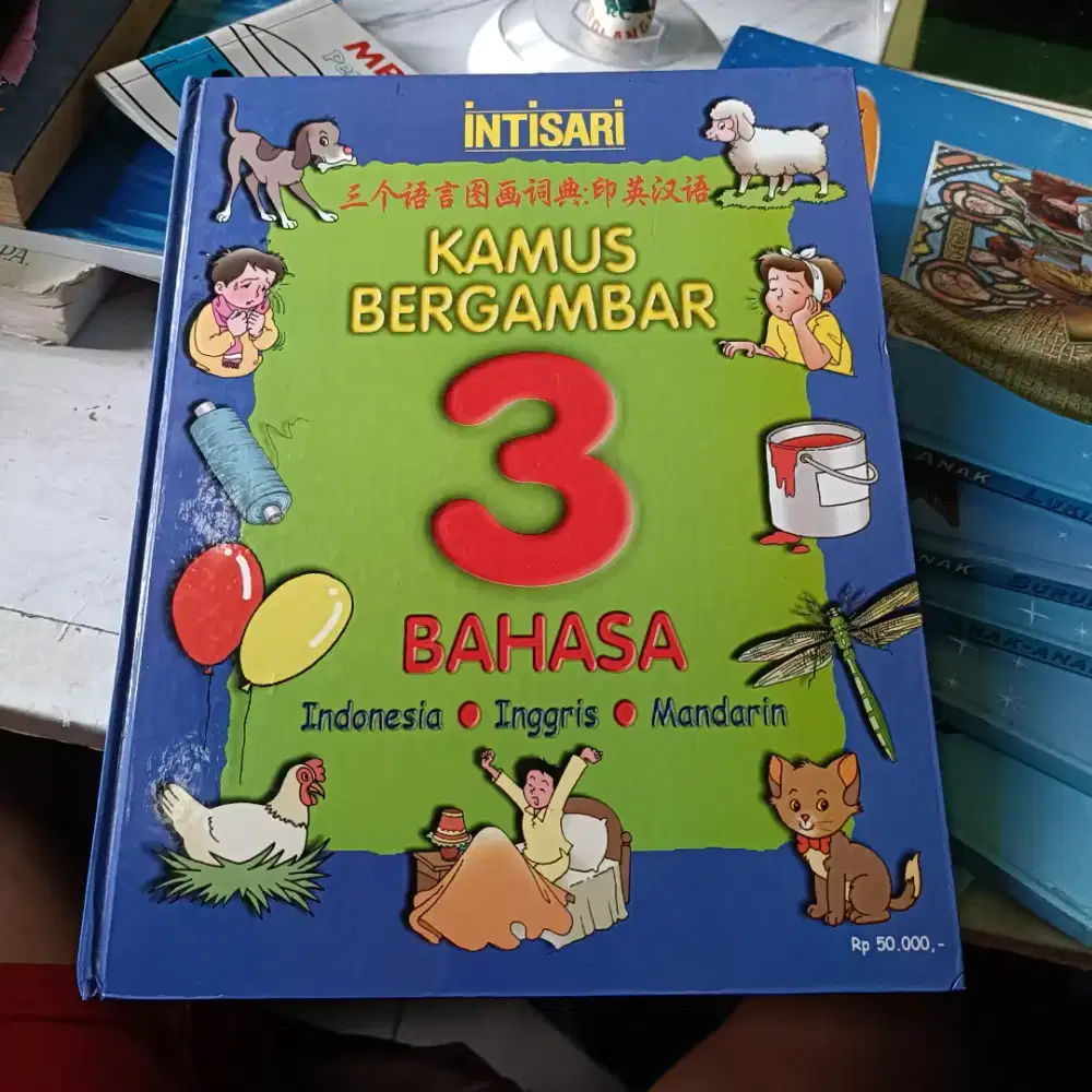 buku bergambar buku kamus anak 3 bahasa kamus inggris mandarin