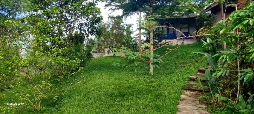 Dijual Cepat Tanah Kebun/Villa Asri Pasir Mulya Banjaran