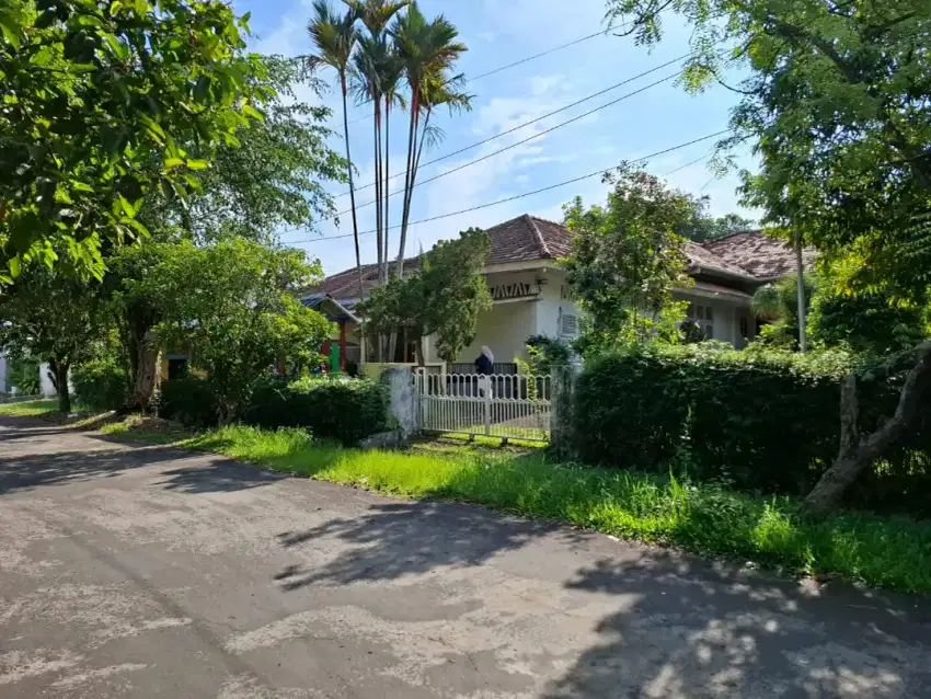 Dijual
Rumah vintage eks kolonial belanda
Jln Jambu area Kambang Iwak