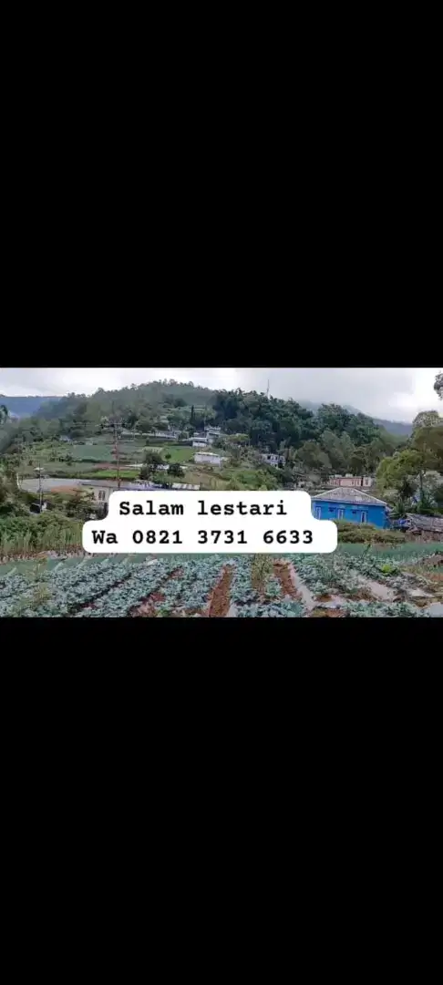 Tanah view pegunungan lawu