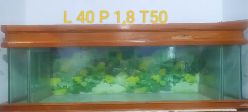 Di jual aquarium tanpa lemari murah