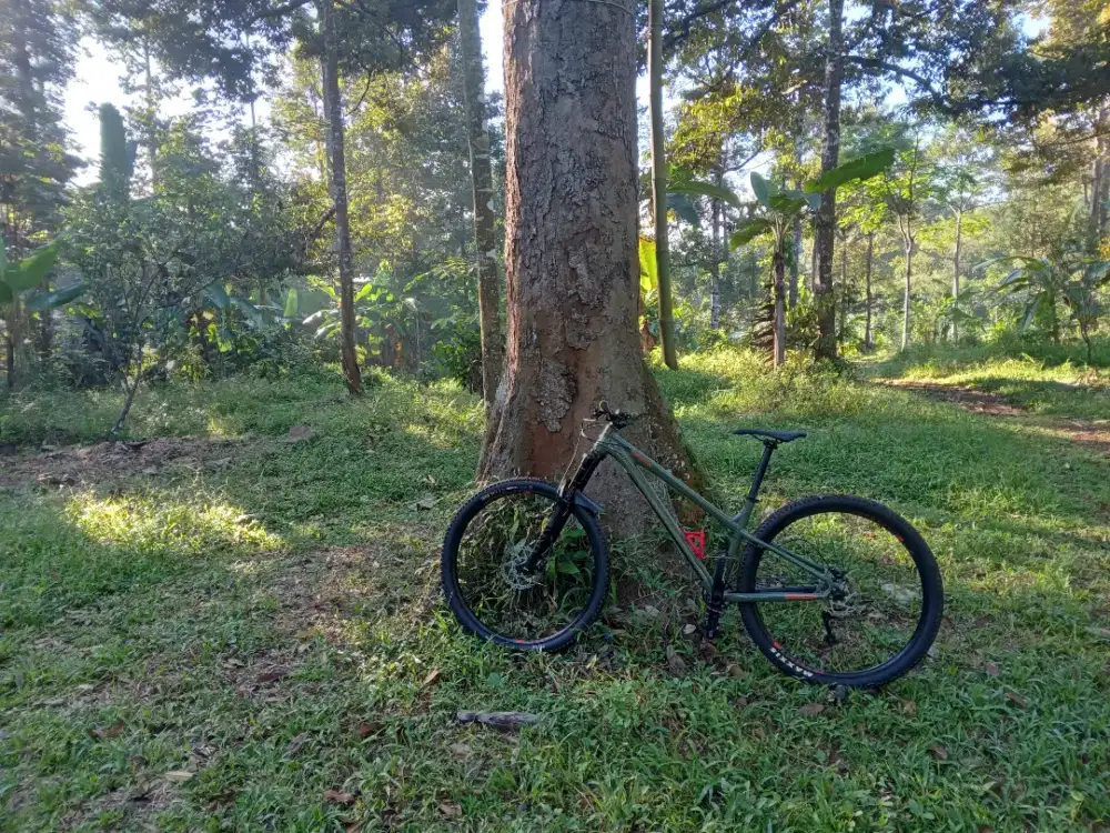 Frame Langka Hardcore Hardtail Saracen Zenith Elite M29 Koleksi