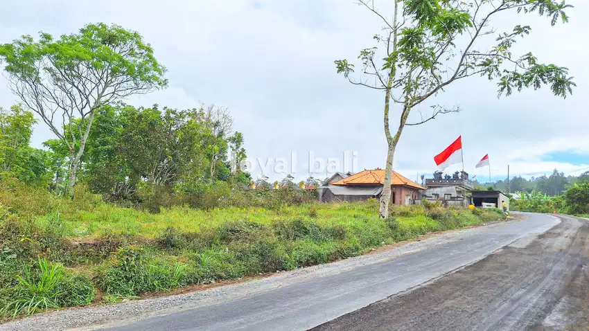Tanah 3.700m² / Tanah di Kintamani, Bali