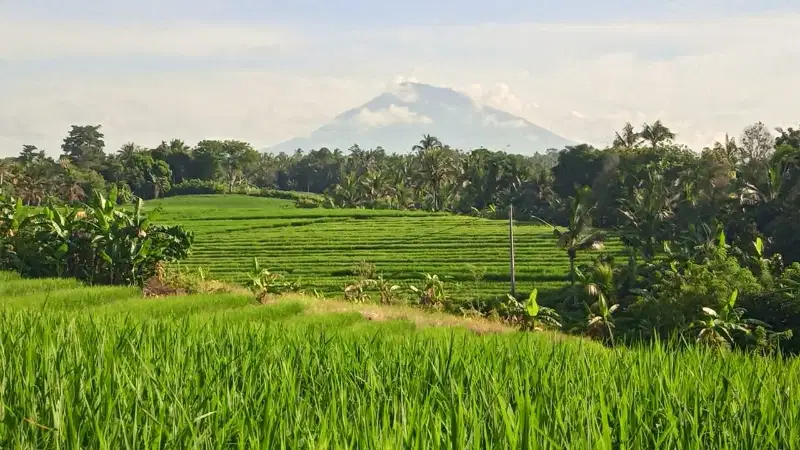tanah luas kecil view sawah dan gunung dekat pantai di tabanan bali.