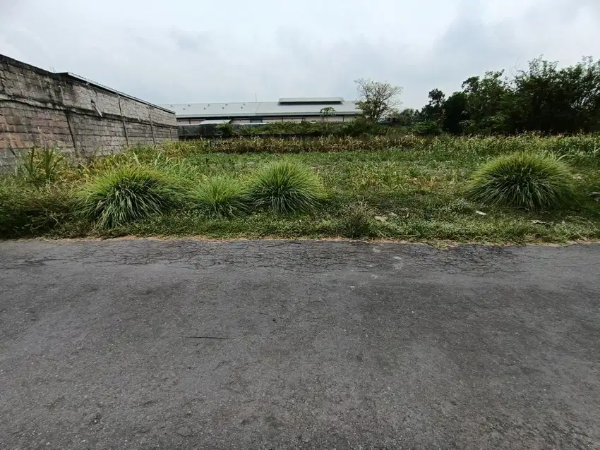 Tanah Dijual Jalan Plumbon Barat Pasar Gentan Luas 159m2