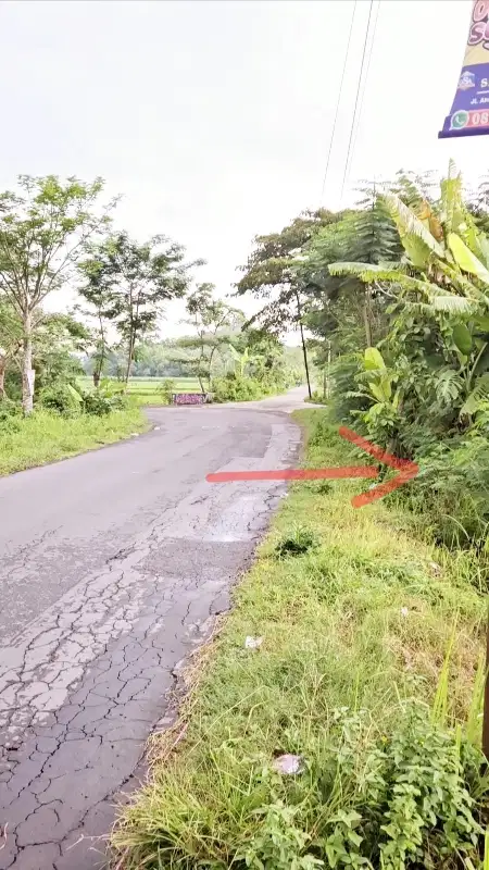 Sawah utara pasar jimbung