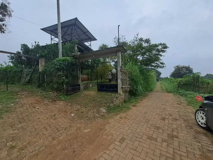 DIJUAL TANAH KEBUN JERUK di Dau, Malang
