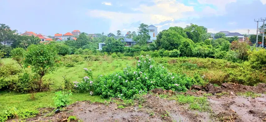 Tanah di Umalas Bumbak Kerobokan dkt Seminyak Badung Bali