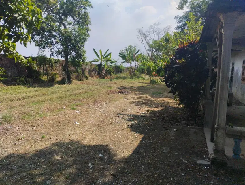 Tanah cocok untuk rumah, kantor, gudang di Kutorejo, Mojokerto