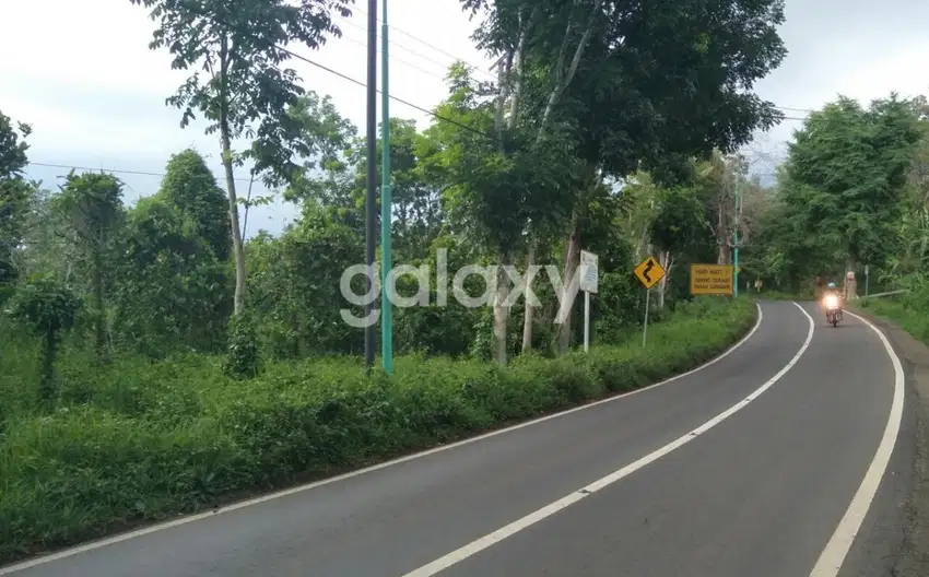 Tanah Cocok Untuk Hotel Dan Restoran ,Lokasi Ke Arah Gunung Ijen