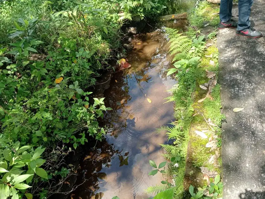 Tanah Bagus ada Aliran Air Kecil, Dekat SCH Jalan Magelang