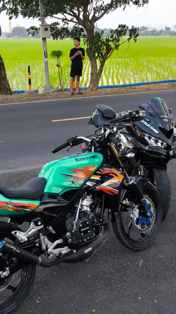 Asli ninja ss hijau