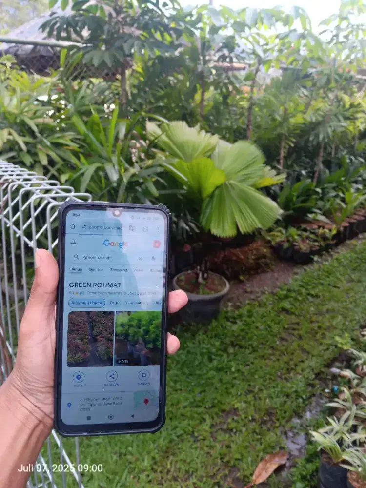 Jual tanaman harga proyek