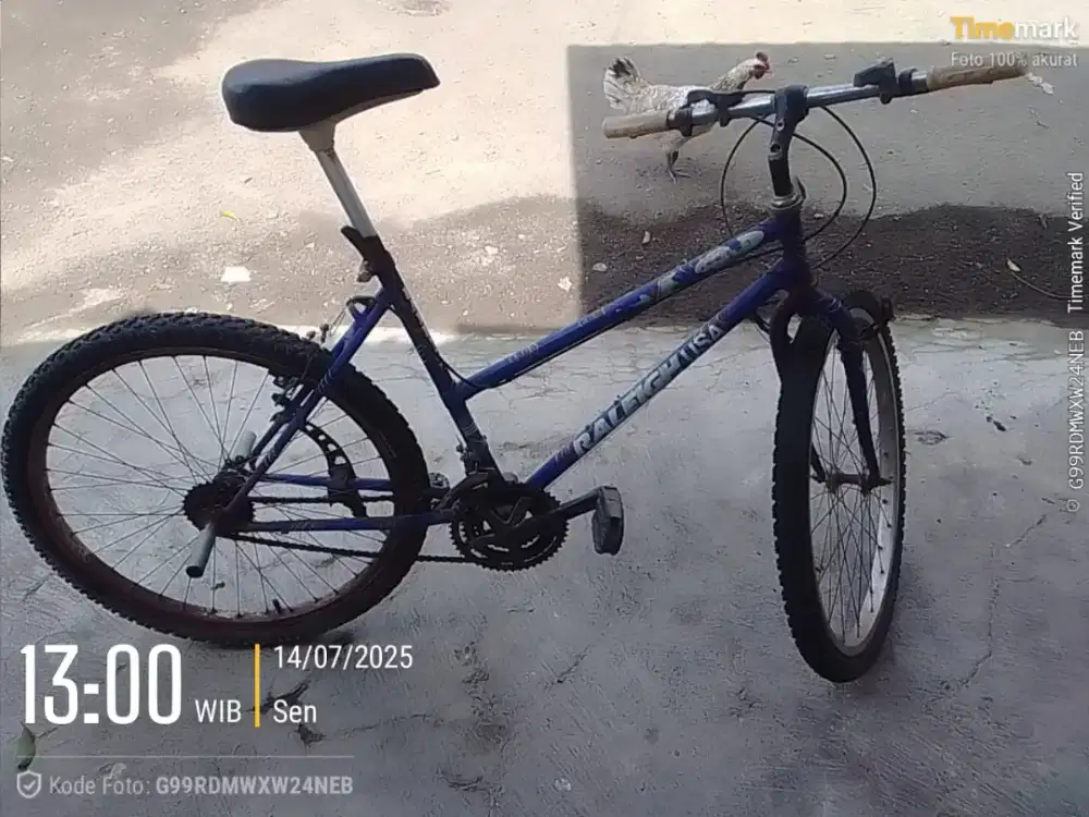 Sepeda dewasa size 26 Merk Raleigh Beli tahun 1993 Pengkuh kuat