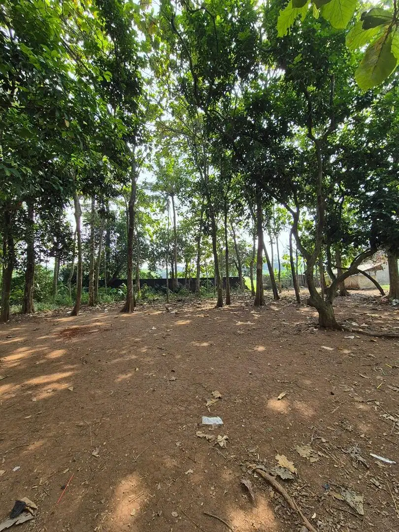 Dijual tanah kosong, boleh nego tipis