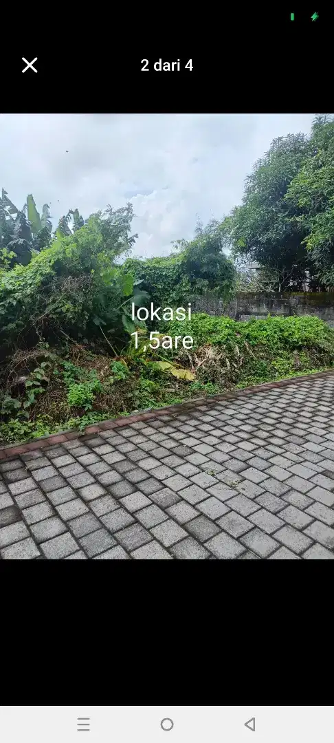 Dijual tanah murah,1,5 are di darmasaba badung dekat ke denpasar