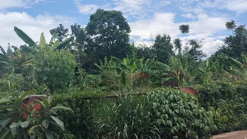 Di Jual Tanah Murah di Mekarwangi Cisauk Tangerang Banten
