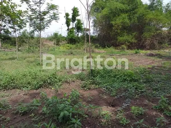 TANAH DI TANJANGRONO MOJOKERTO COCOK BUAT INDUSTRI RINGAN