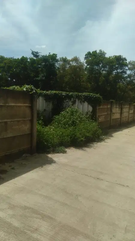 Di Jual Tanah Murah di Ciodeng Palasari Legok Tangerang
