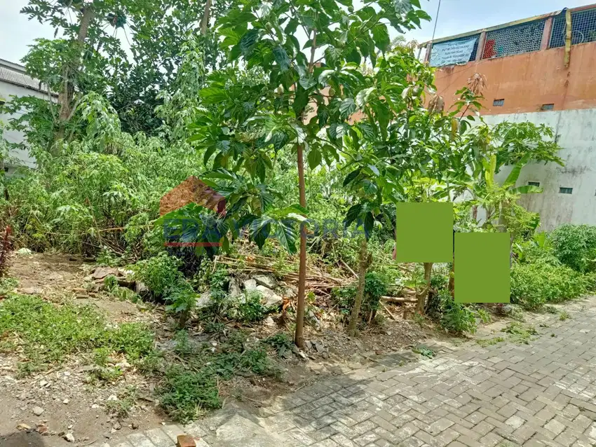 Tanah Jual Area Tlogomas Dekat Kampus,Mal Dinoyo Cocok untuk Investasi