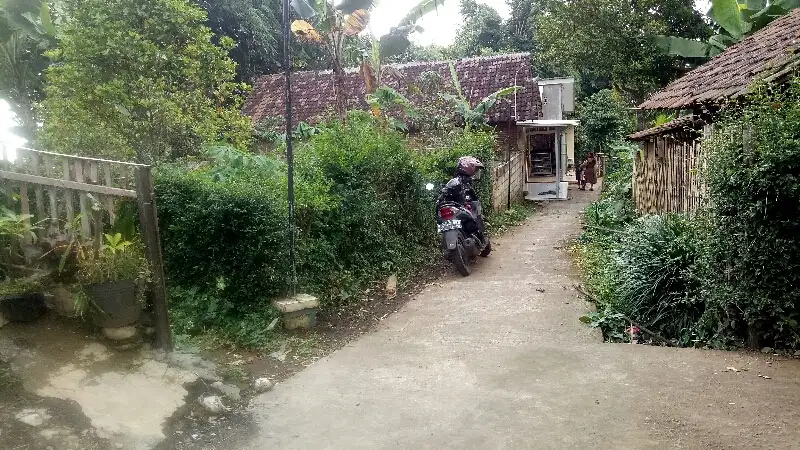 Tanah Pekarangan Ngadirejo Jabung Malang