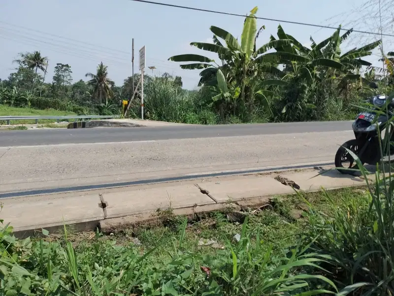Di Jual Tanah di Jln Jengkol Raya Babakan Setu Tangerang Selatan