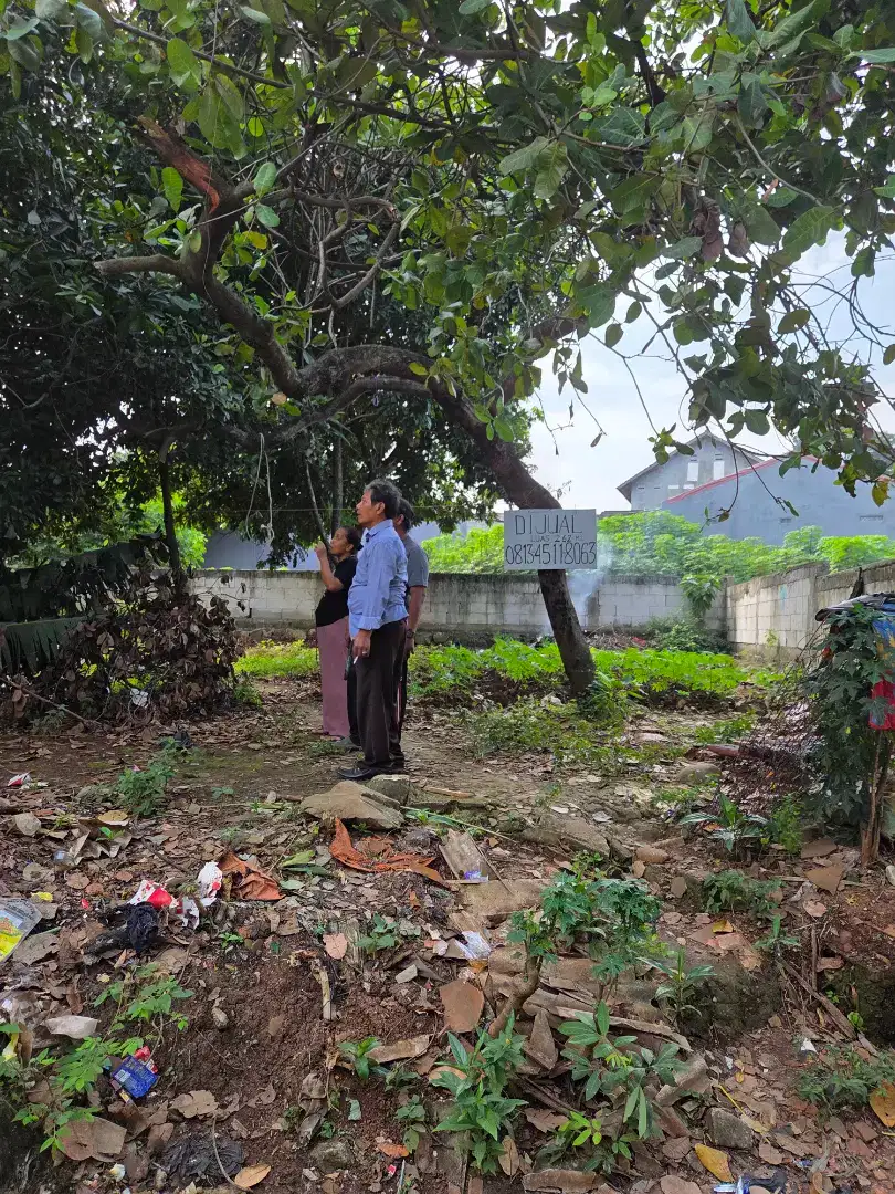 Tanah Kebun pinggir jalan 262 M2