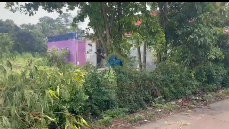 Di Jual Tanah di Palasari Legok Tangerang