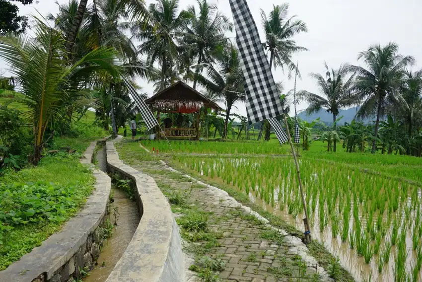 Dijual tanah kavling dengan harga terjangkau
