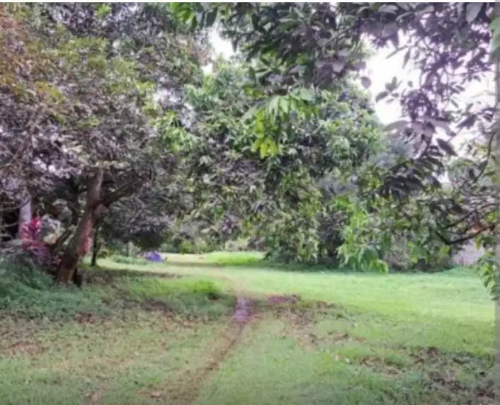 DIJUAL TANAH 4650 M, CiBUBUR RAYA , JAkARTA TIMUR