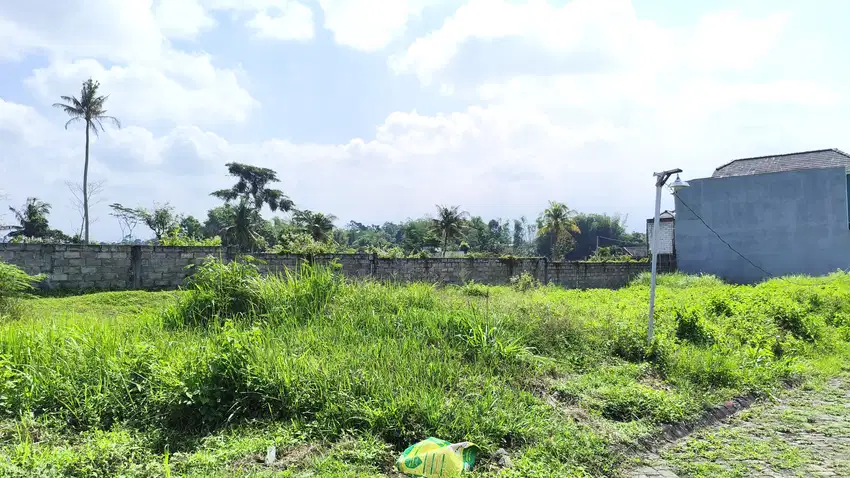 Tanah 2 menit kampus UMM Malang potensial bangun kos-kos an
