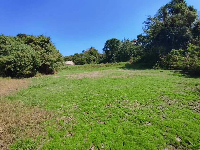 LAHAN 4415 m2 DI DEKAT OBJEK WISATA PANTAI YEH GANGGA - BALI