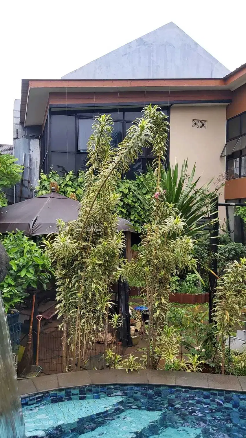 Rumah Grand Akasia Pamulang 2Lt 300m2 5KT SHM Ada Kolam Renang