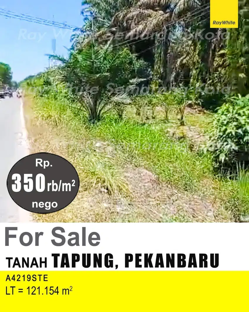 DIJUAL TANAH DI TAPUNG PEKANBARU A4219