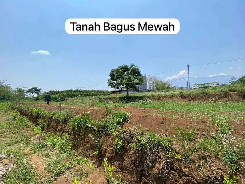 JUAL TANAH DI PUSAT KOTA MALANG AKSES MUDAH HARGA TERMURAH