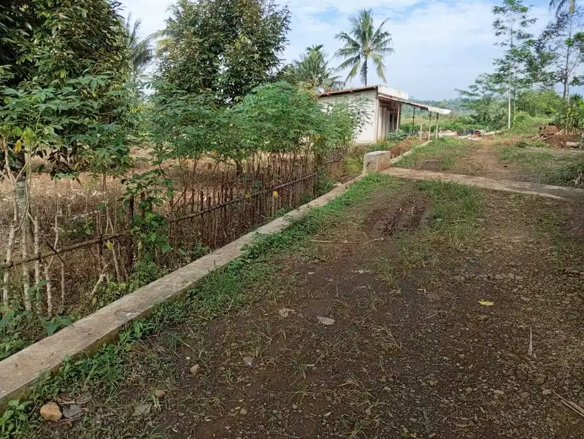 JUAL TANAH BOBOTSARI PURBALINGGA
