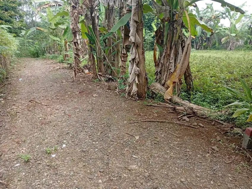 TANAH DIJUAL DI PURBALINGGA, MURAH, BISA NEGO