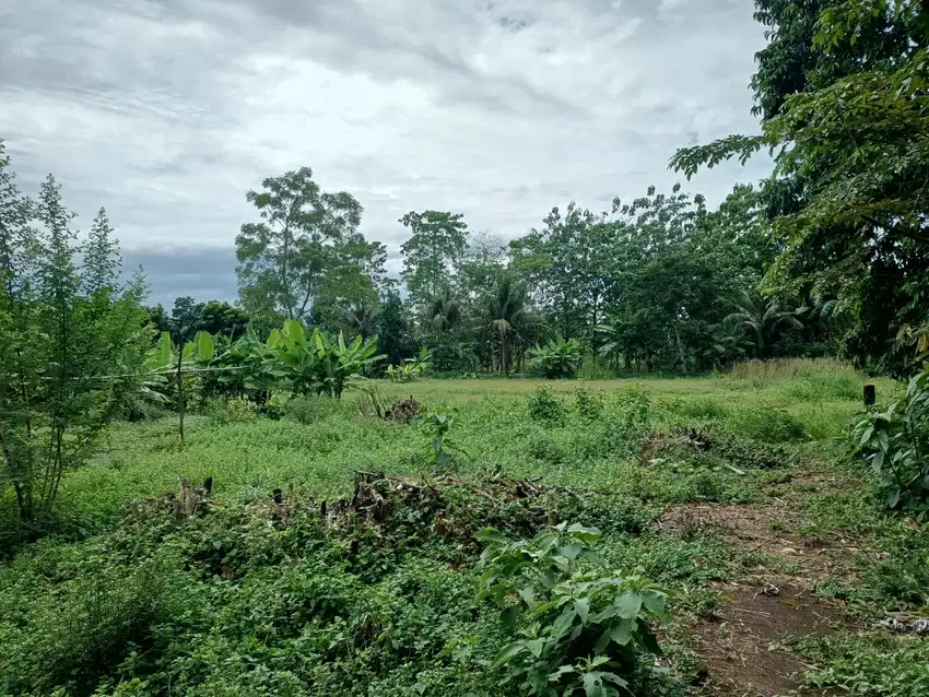 Lahan Matang Siap Bangun, Tanah Murah Cisauk Dekat Stasiun Jatake