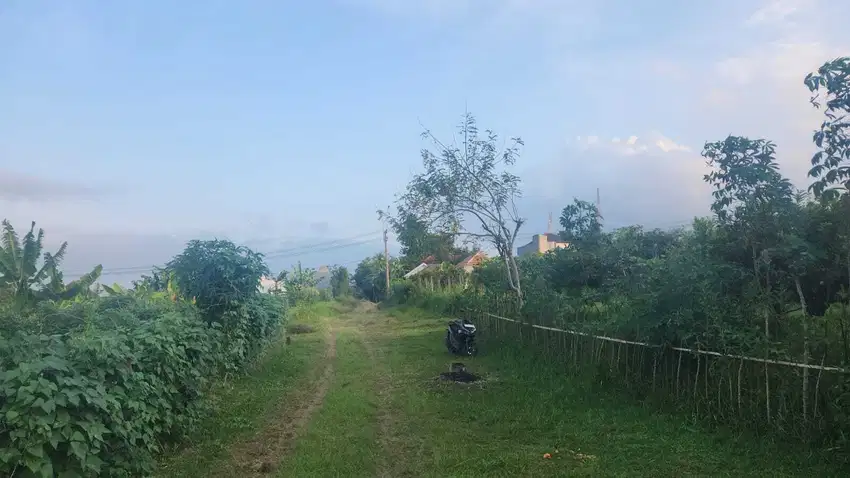 Dijual Tanah di Merjosari, Lokasi Premium Dekat Kampus Besar