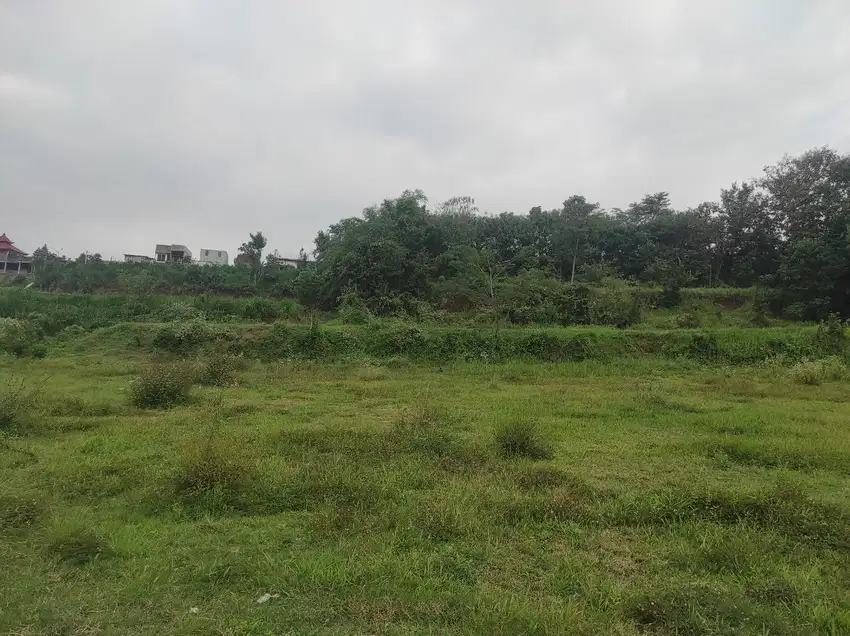 Dijual Tanah SHM Jedong Wagir, Lingkungan Asri & Tenang
