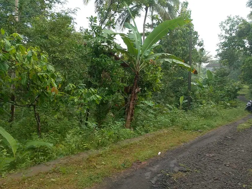 JUAL TANAH DI BANJARASRI KALIBAWANG KULONPROGO