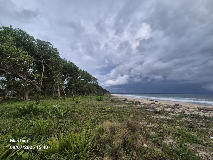 Tanah di pantai krui