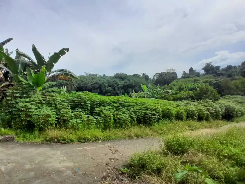 Tanah Kavling Dramaga Bogor Dekat IPB Dranaga – Akses Mobil, SHM, Bis