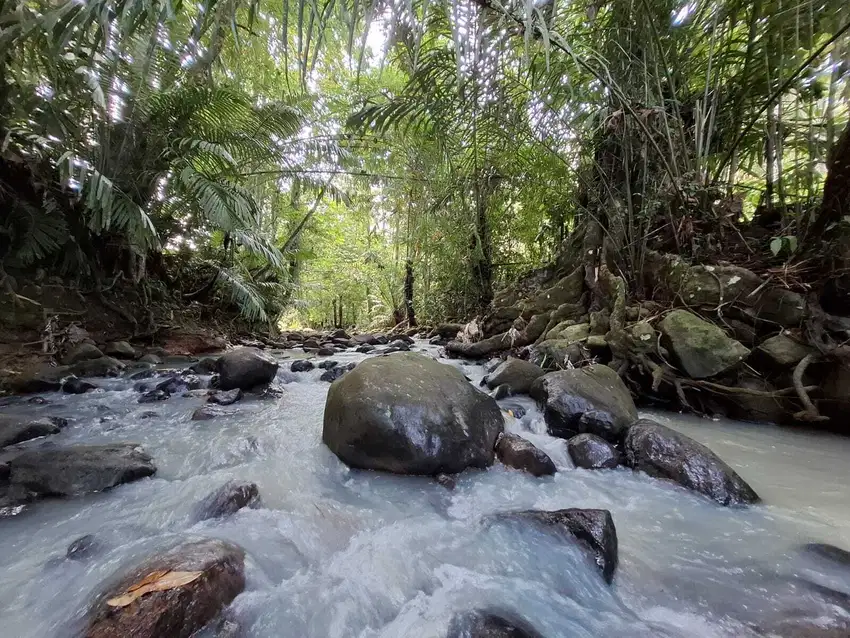 Dijual tanah cantik los sungai dan view sawah di tabanan bali