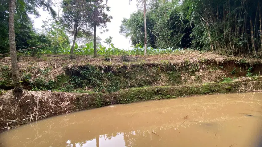 Dijual Murah Tanah 1174 m2 Kios Kebun + Kolam Ikan Bojong Purwakarta