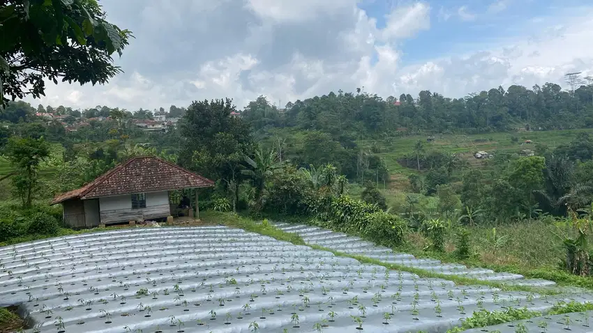 Dijual Murah Tanah 1,4 Hektar Akses Mobil di Bojong Purwakarta