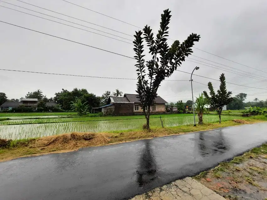 Tanah Berbah Sleman