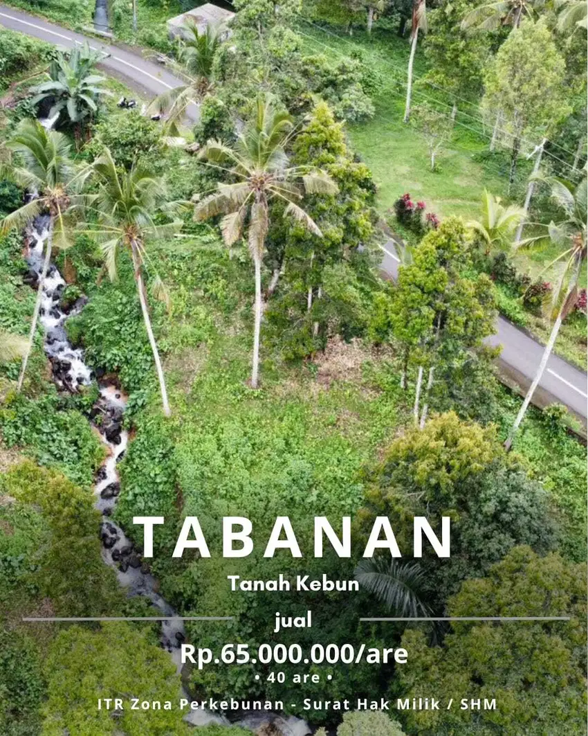 Tanah Kebun Dengan Aliran Sungai 30 Menit Ke Pantai Pasut Bali