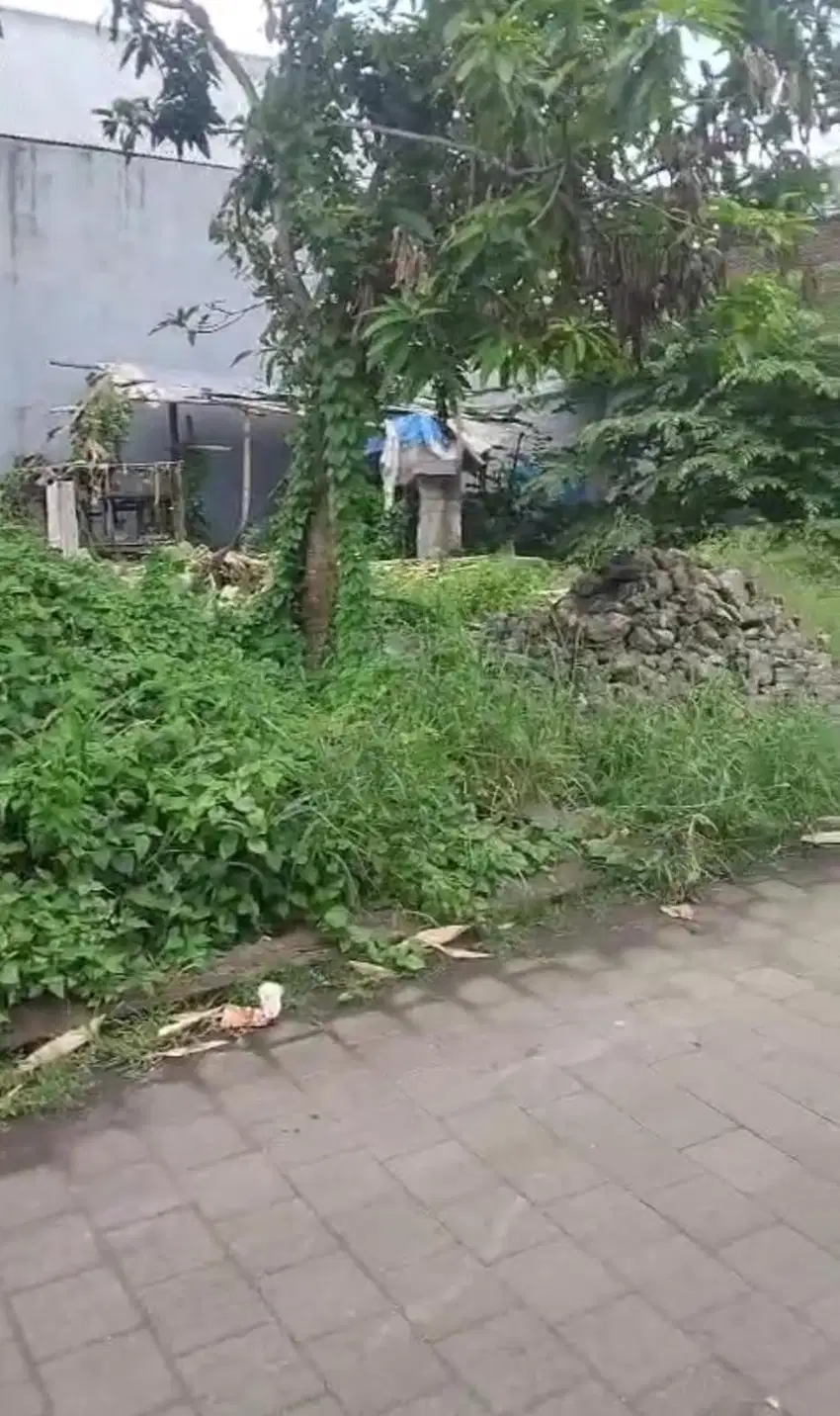DIJUAL TANAH 4 ARE SHM HADAP UTARA DI MUNGGU MD